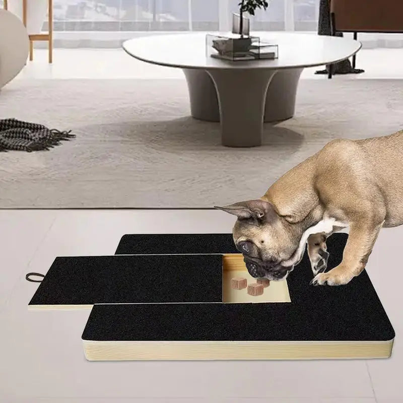 Pets