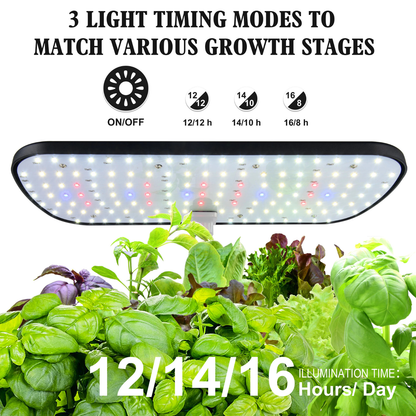 Hydroponics Growing System